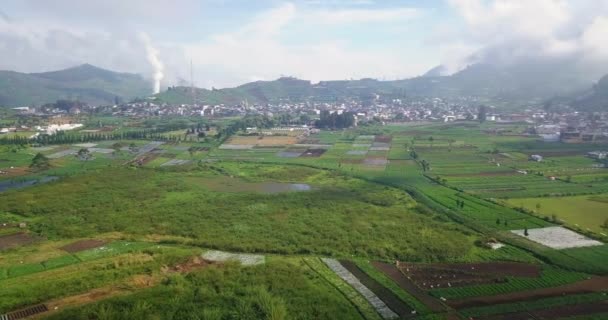 从人工林 阿诸那寺和住区看狄扬高原农村风景的滑翔机镜头 位于印度尼西亚爪哇中部 著名的迪昂高原文化村被称为神之地 — 图库视频影像
