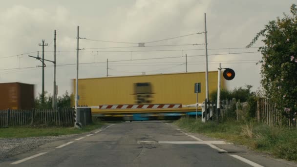 Freight Train Speeds Level Crossing Middle Countryside Traffic Light Indicates — Stock Video