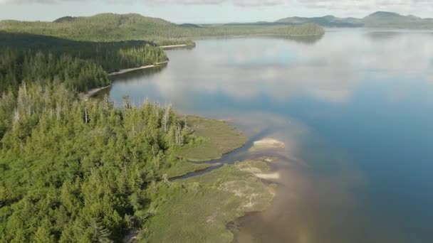 Sandy Beach Lake Green Trees Canadian Nature Background Aerial View — Stockvideo