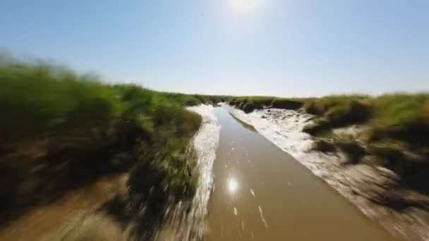 Dron Fpv Latający Nad Błotnistym Wąskim Potokiem Przez Zielone Mokradła — Wideo stockowe