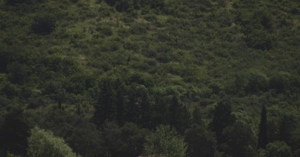 Montagnes Forestières Luxuriantes Long Confluence Des Rivières Kura Aragva Monastère — Video