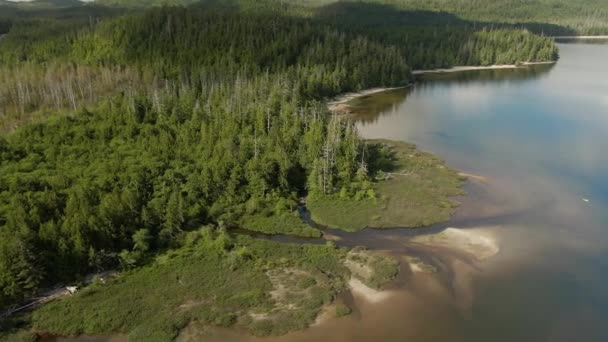 Sandy Beach Lake Green Trees Canadian Nature Background Aerial View — Video