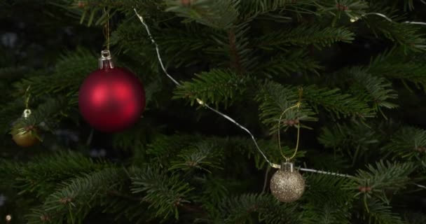 Pino Navidad Verde Fresco Con Decoraciones Doradas Rojas Hacia Arriba — Vídeo de stock