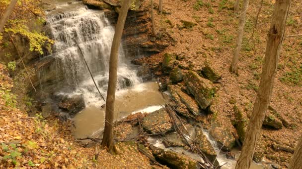 Лісова Струмка Занурюється Восени Величезний Водоспад Над Скелями Між Падаючими — стокове відео