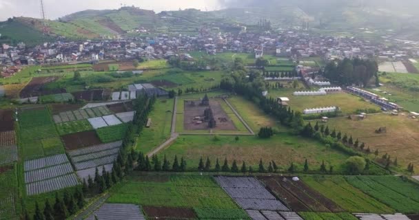 中部ジャワ インドネシアのフィールドと山に囲まれた有名なアルジュナ寺院の空中ビュー — ストック動画