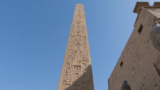 Obelisco Tempio Luxor Egitto Aspetto Geroglifici Scolpiti — Video Stock