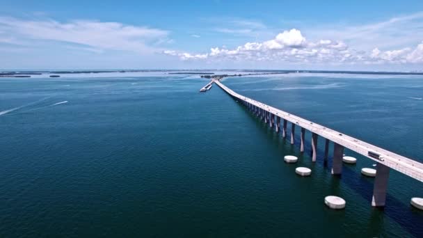 Lång Kabel Stannade Bron Över Nedre Tampa Bay Florida Bob — Stockvideo