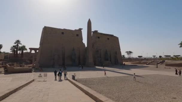 Turistas Caminhando Perto Obelisco Templo Luxor Egito Dia Ensolarado — Vídeo de Stock