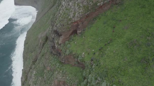 Una Expedición Grupo Está Caminando Por Costado Quebrada Negro Madeira — Vídeo de stock