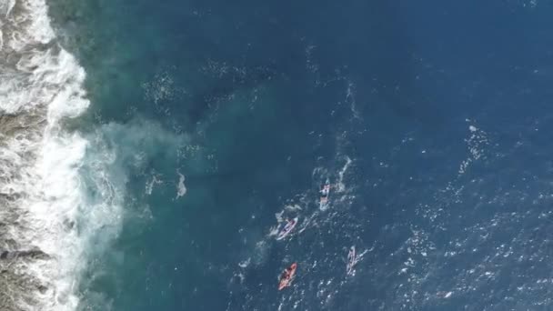Sekelompok Teman Empat Kano Yang Mengayuh Sebelah Pantai Madeira Air — Stok Video
