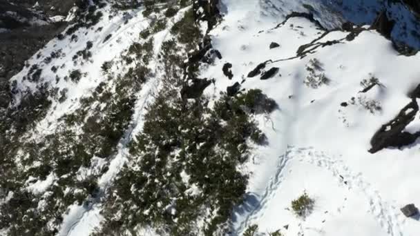 Camino Pie Con Huellas Nieve Bajando Montaña Pico Ruivo Madeira — Vídeo de stock
