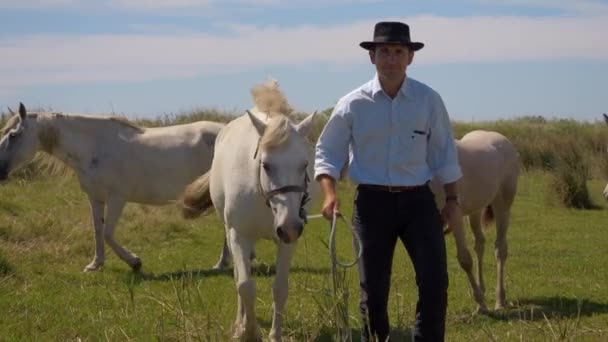 Cowboy Levando Líder Manada Cavalos Indo Embora Com Ela Seguida — Vídeo de Stock