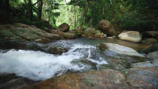 Kis Vízesés Trópusi Erdőben Állvány Samui Thaiföld — Stock videók