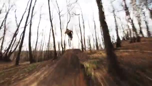 Tracking Shot Van Pro Mountainbiker Door Bladloze Herfst Bos — Stockvideo