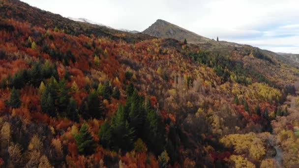 Национальные Леса Осенью Листвы Пейзажи Яркие Красочные Меняющиеся Листья — стоковое видео