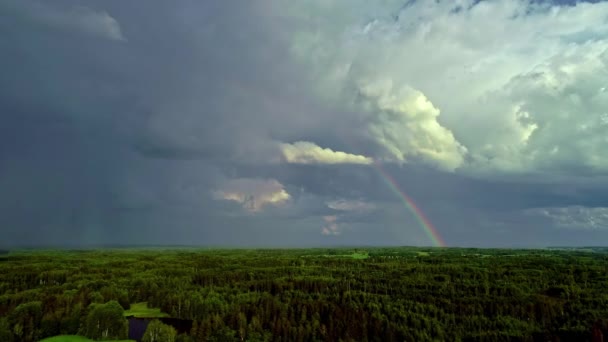 曇り空の日の森の景色を空中からの眺め — ストック動画