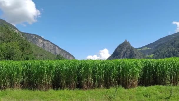 Vista Panoramica Terreni Agricoli Austria Con Castello Sulla Collina Sullo — Video Stock