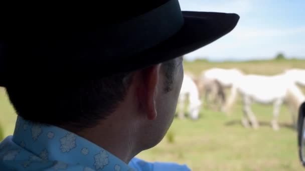 Kovboj Pozoruje Svou Smečku Koní — Stock video