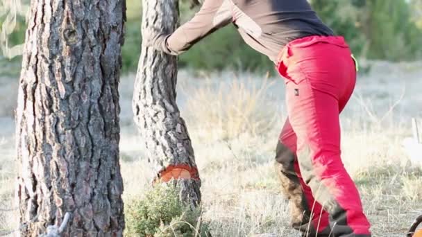 Silna Kobieta Zepchnęła Drzewo Własnymi Rękami Tym Jak Ścięła Profesjonalną — Wideo stockowe