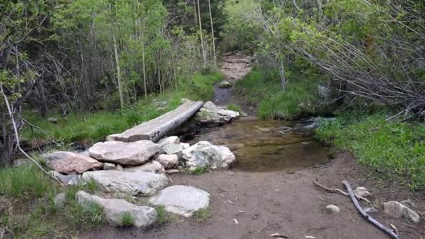 Puente Troncos Que Cruza Pequeño Arroyo Sendero Tanglewood Base Del — Vídeo de stock