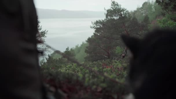 Собака Буйними Деревами Горах Задньому Плані Закрий Двері — стокове відео