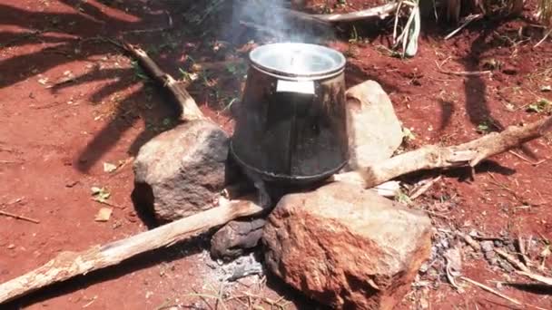 Afrikansk Matlagning Pott Med Ved — Stockvideo