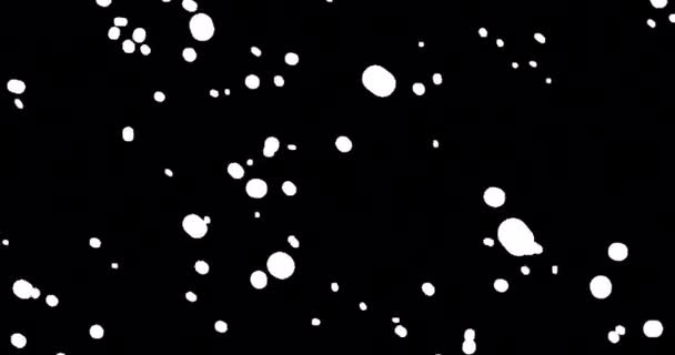 Realistyczna Animacja Opadających Płatków Śniegu Góry Dołu Spokojne Opady Śniegu — Wideo stockowe