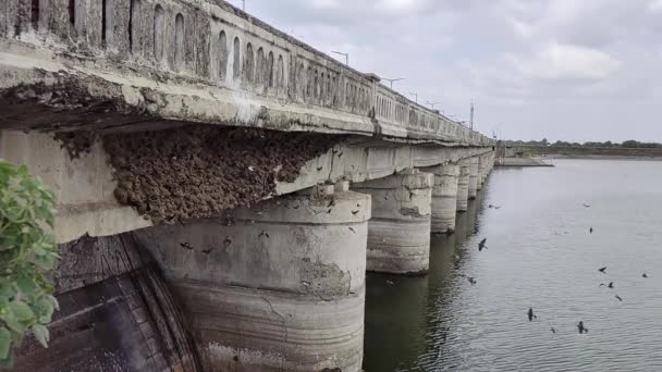 Tiro Câmera Lenta Uma Ponte Córrego Rio Para Facilitar Conectividade — Vídeo de Stock