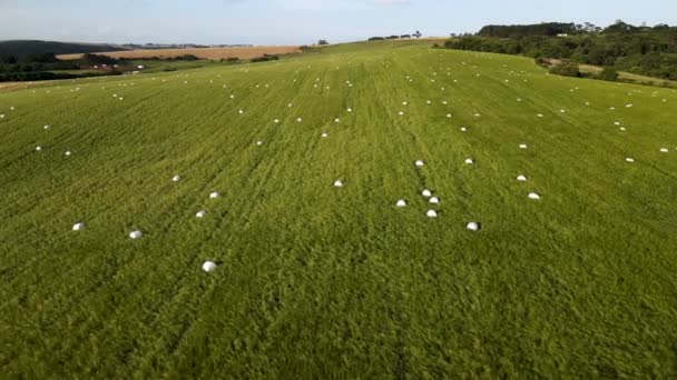 Ekin Tarlasında Yuvarlanmış Balyalar Hava Manzarası — Stok video