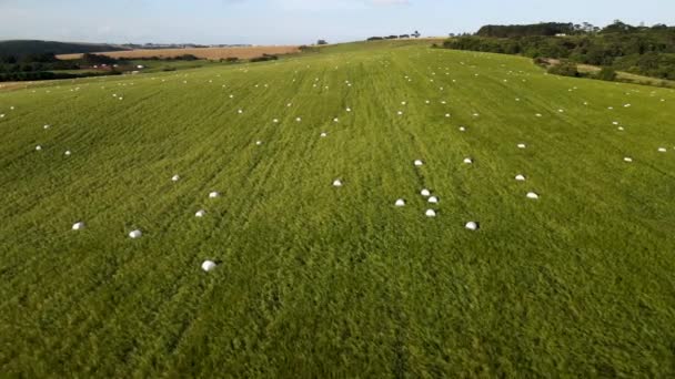 Balines Enrollados Campo Ensilado Vista Aérea — Vídeos de Stock