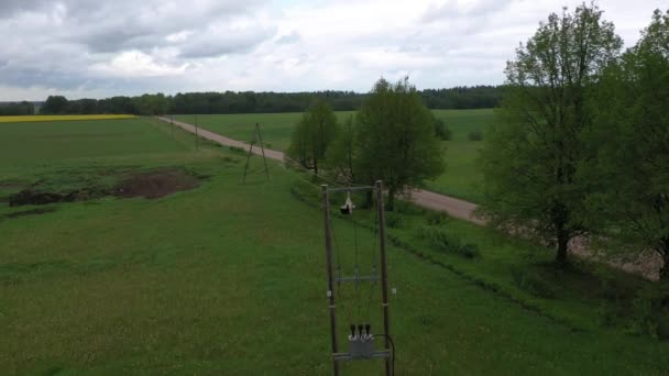 Poor Lifeless White Stork Hanging Tangled Electric Power Lines Aerial — Stock Video