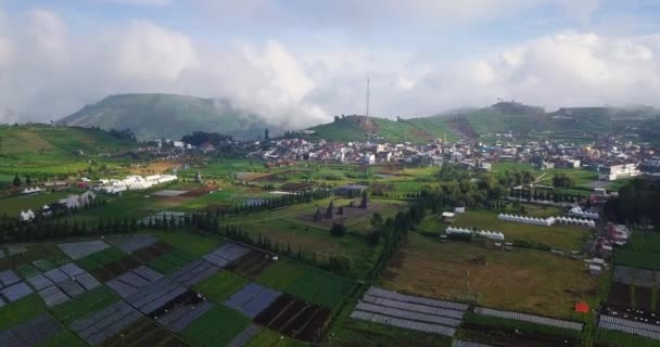 Drone Shot Van Dieng Plateau Met Uitzicht Plantage Dorp Arjuna — Stockvideo