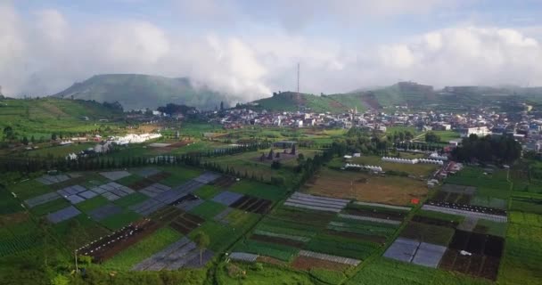 田園地帯 アルジュナ寺院 背景と曇った空の丘を眺めながら ジャワ中央部のディエンプラトーのドローンショットを明らかにします インドネシア中部ジャワ州ディエンリージェンシー — ストック動画