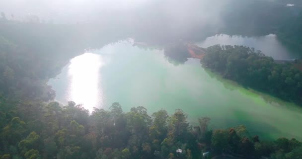 霧の晴れた日にTelaga Warna湖のスライディングドローンショット Dieng高原観光アイコンの 中央ジャワ インドネシア 木々に囲まれた湖 Tranquilフッテージ — ストック動画