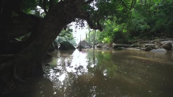 Widok Powolny Strumień Lesie Tropikalnym Huśtawki Samui Tajlandia — Wideo stockowe