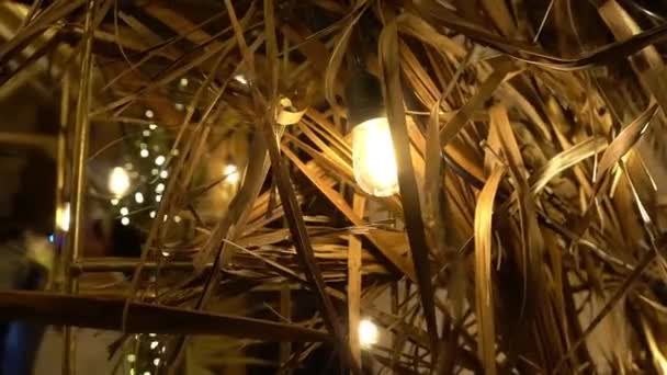 パーティーの装飾で乾燥したヤシの葉の真ん中にある周囲の光 白熱電球 ビーチパーティーで — ストック動画