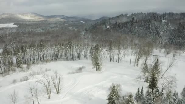 Όμορφο Χειμερινό Τοπίο Βουνά Και Ποτάμια Κινηματογραφικό Βίντεο Drone Επαγγελματίας — Αρχείο Βίντεο