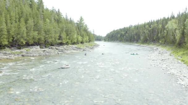 Drone Zweeft Boven Rivier Prachtig Zomers Landschap Kano Kajak Gaan — Stockvideo