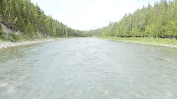 Drönaren Flyger Uppför Floden Vackert Sommarlandskap Mavic Vändning Snabbt — Stockvideo