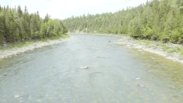 Дрони Летять Вгору Річці Чудовий Літній Краєвид Mavic — стокове відео