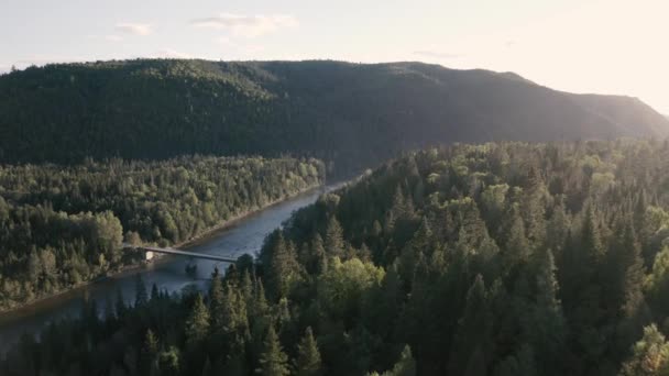 Yaz Mevsiminin Güzel Sonları Parlayan Ekranla Ağaçların Üzerinden Uçuyor Gün — Stok video