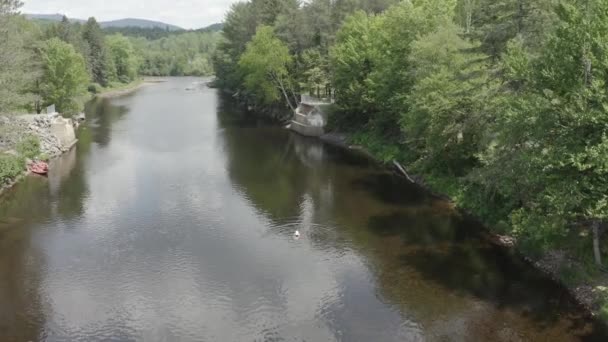 Vacker Sommarscen Flicka Simma Trevlig Dag Floden Drönare Mavic Uhd — Stockvideo