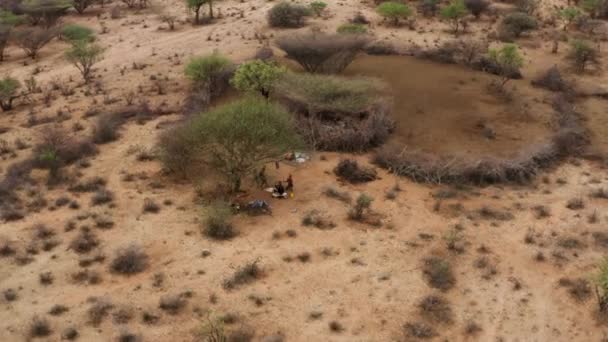 Tribu Hamar Vallée Rivière Omo Sud Ouest Ethiopie Drone Aérien — Video