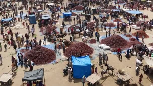 Huge Paprika Market Alaba Kulito Town Ethiopia Aerial Shot — Stock Video