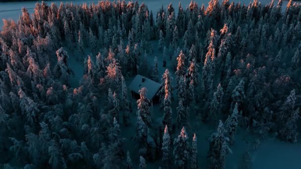 Vue Aérienne Une Cabane Milieu Arbres Enneigés Lever Soleil Laponie — Video