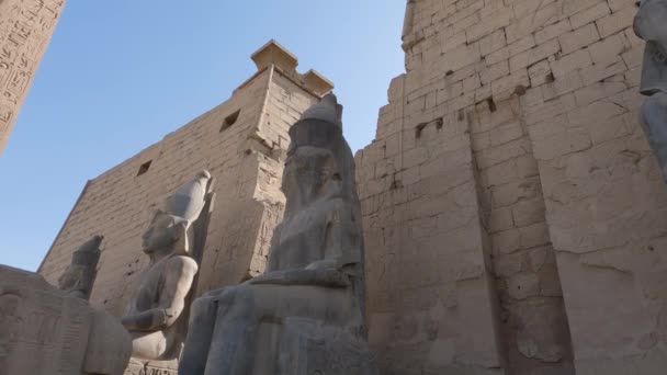 Düşük Açılı Luxor Daki Karnak Tapınağı Nda Oturan Heykellere Bakıyor — Stok video