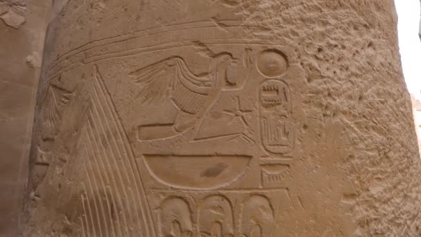Detaljerad Närbild Hieroglyfer Graverade Djupt Kolumnerna Luxor Temple Egypten — Stockvideo