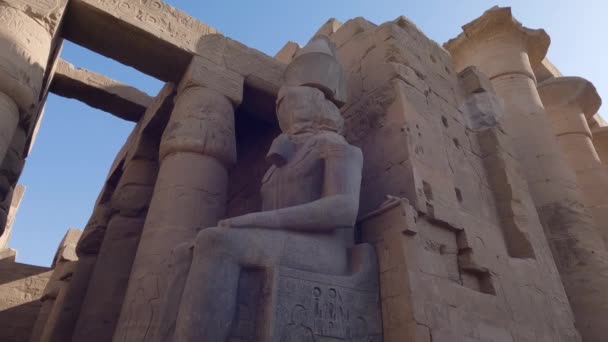 Handhållen Skott Farao Staty Sitter Omgiven Luxor Temple Egypten — Stockvideo