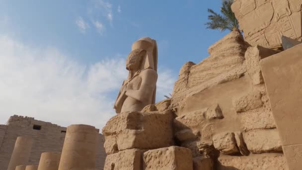 Vista Estatua Esfinge Con Cabeza Carnero Complejo Del Templo Karnak — Vídeos de Stock