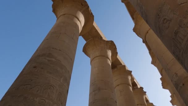 Handhållen Närbild Skott Luxor Temple Pillars Visar Den Graverade Hieroglyfer — Stockvideo